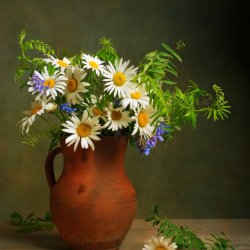 Постер «Натюрморт с ромашками в глиняном кувшине», 30 см х 40 см
