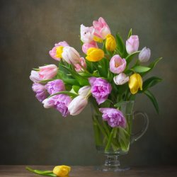 Постер «Натюрморт с тюльпанами в стеклянной кружке», 30 см х 40 см