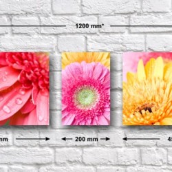 Триптих «Герберы после дождя»