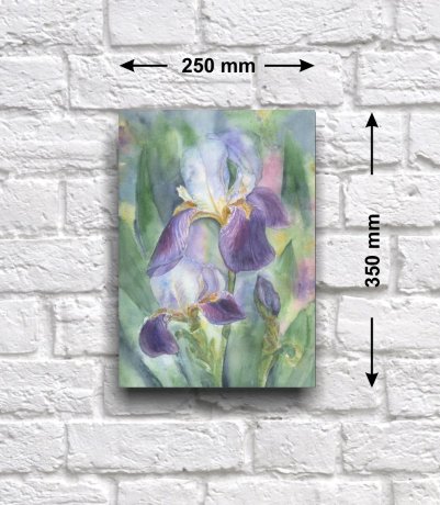 Постер - репродукция «Ирис», 25 см х 35 см