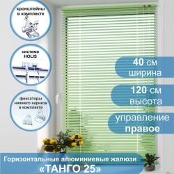 Жалюзи горизонтальные алюминиевые "Танго 25", Киви 5421, 40х120 см , упр Правое