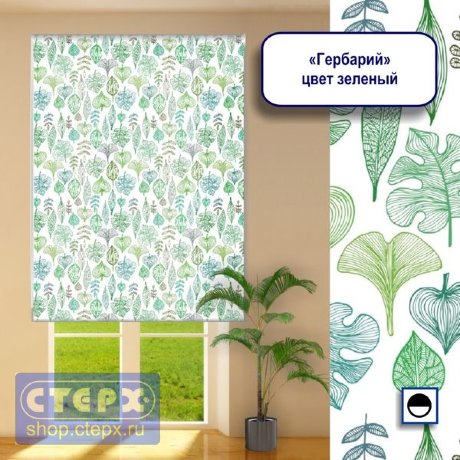Штора рулонная с цепочным приводом «Макси», коллекция «Гербарий»  
