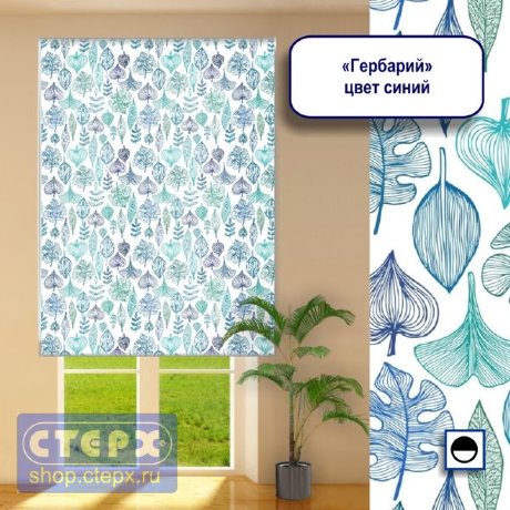 Штора рулонная с цепочным приводом «Макси», коллекция «Гербарий»  